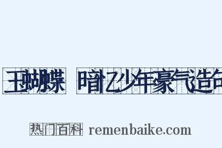 玉蝴蝶·暗忆少年豪气造句是什么意思的图片